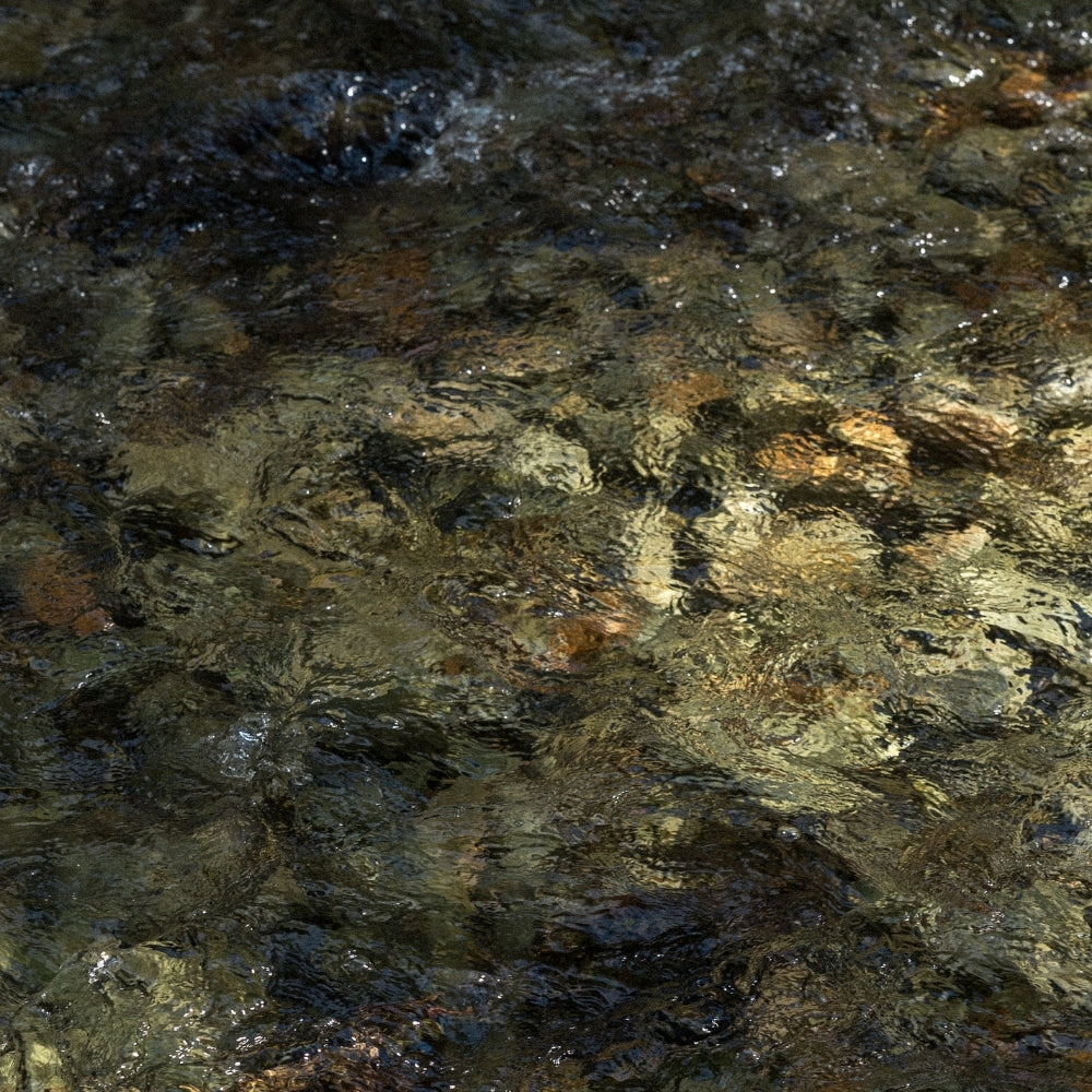 How Utopia’s Spring Water Shapes Our Flavors
