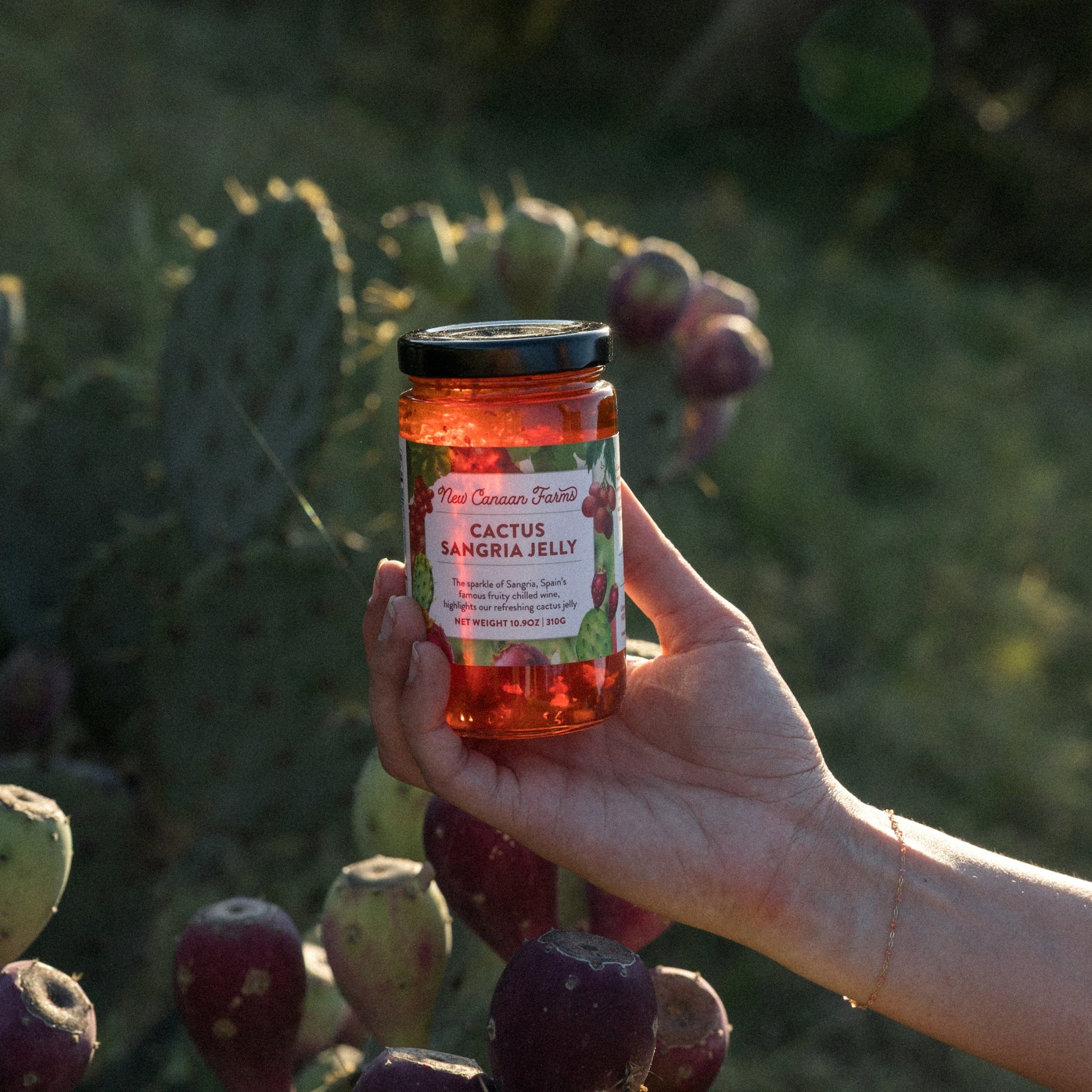 Cactus Sangria Jelly
