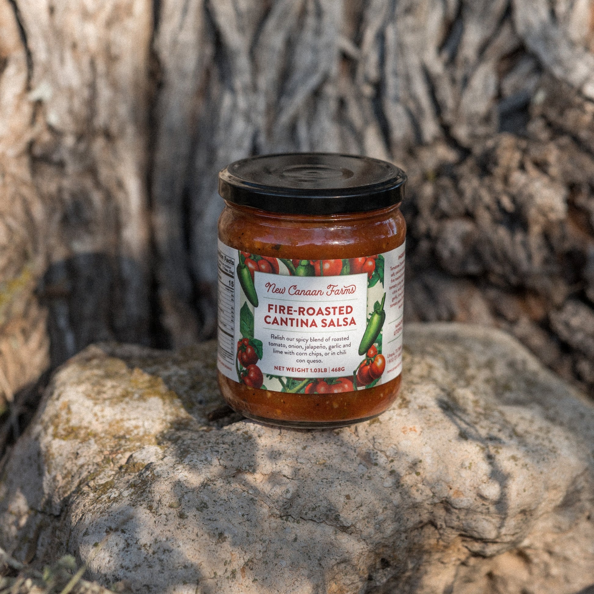 Fire Roasted Cantina Salsa