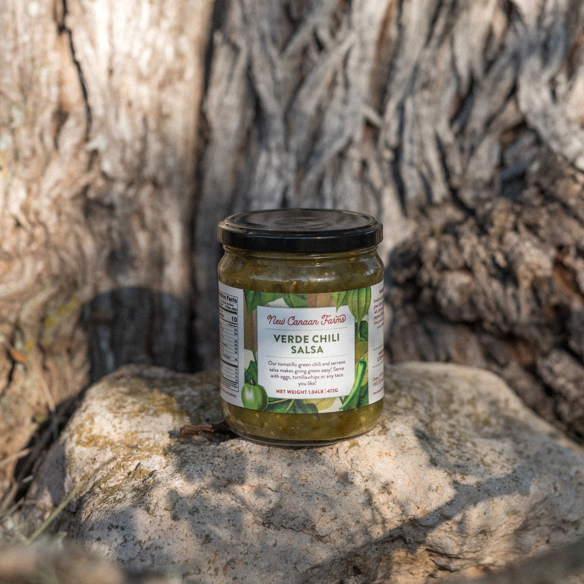 Verde Chili Salsa