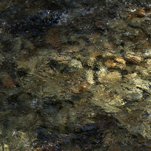 How Utopia’s Spring Water Shapes Our Flavors