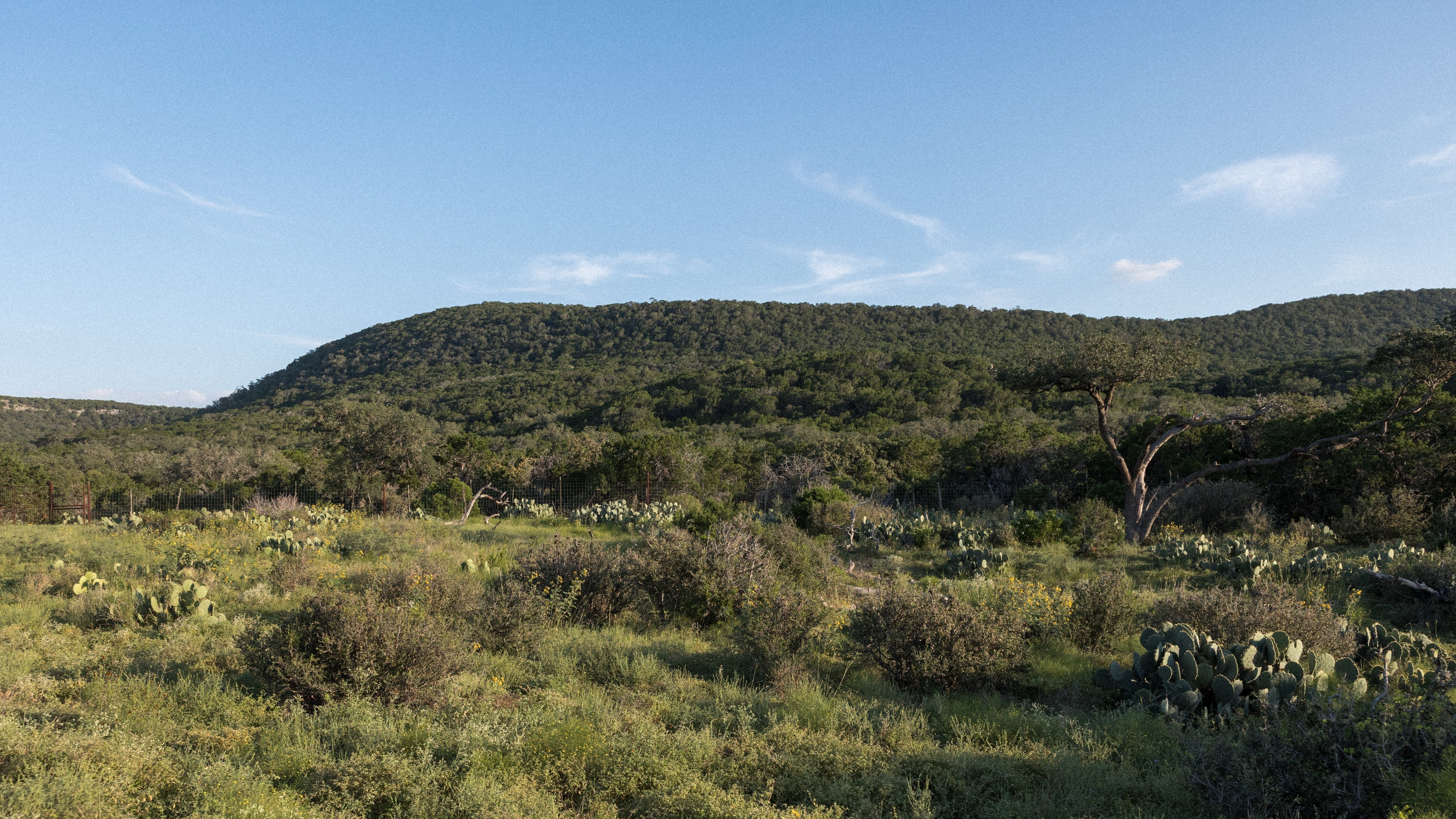 Scenic view of a desert landscape with hills and sparse vegetation under a clear blue sky.